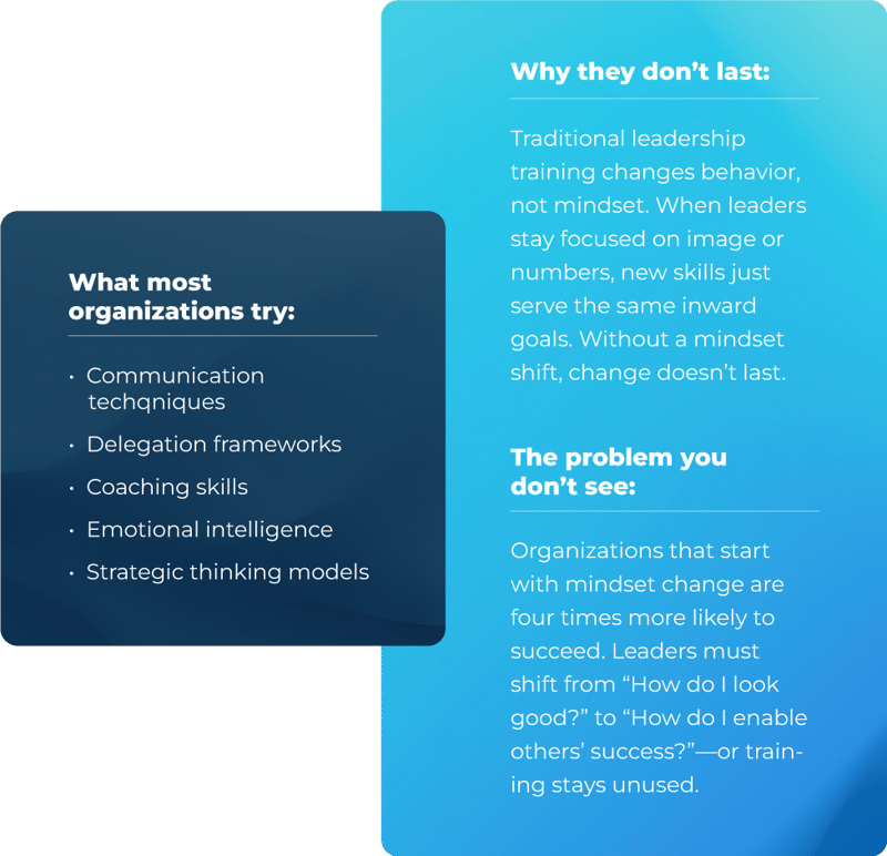 Challenges-We-Solve_Leadership-Development Challenges-We-Solve_Leadership-Development